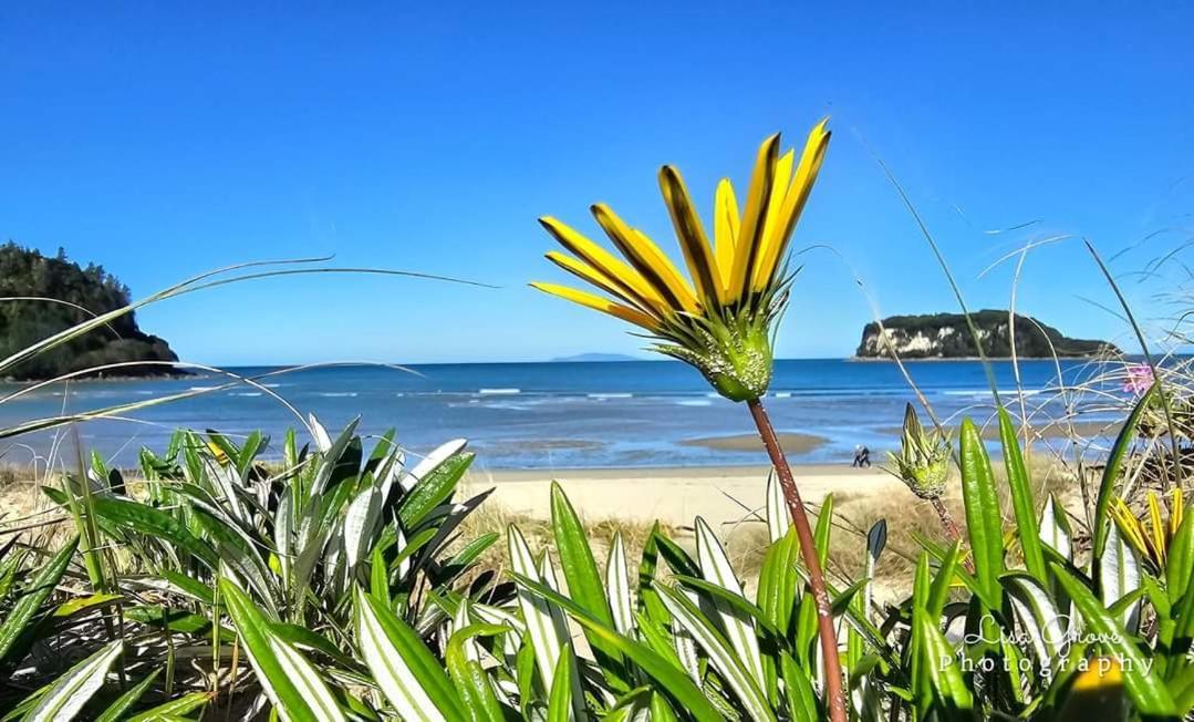 Southpacific Motel Whangamata Eksteriør bilde